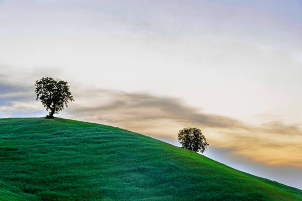 istock countryside landscapes in Val d'Agri, Basilicata 970292190