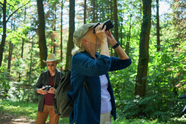 istock active seniors hiking and enjoying the nature 970293252