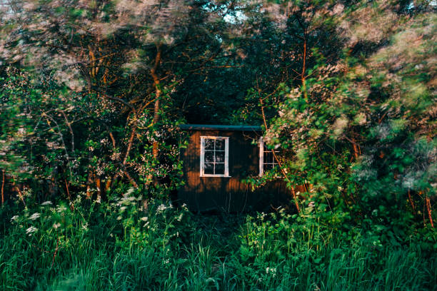 istock Moody Atmospheric Abandoned Shed Nyord Denmark 970293648