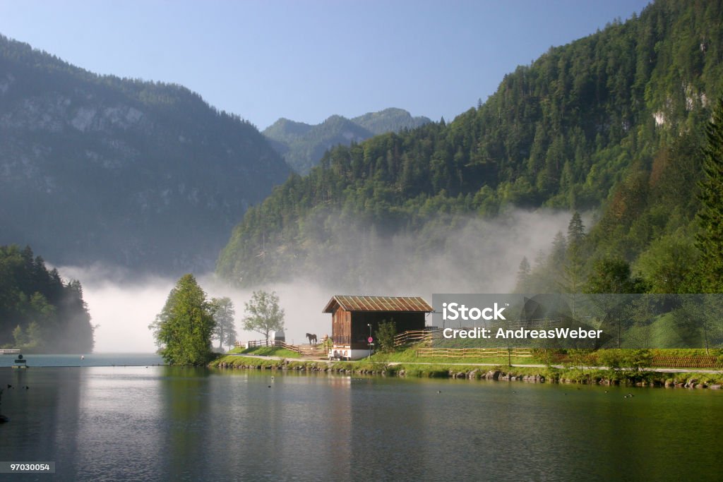 Königssee im Morgennebel - Zbiór zdjęć royalty-free (Alpy)