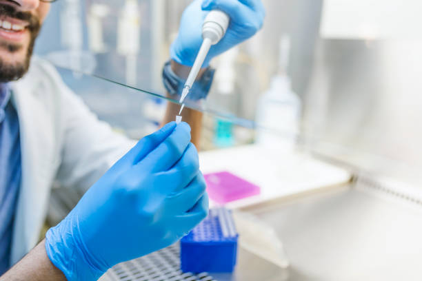 Scientist hands with dropper or pipette Scientist hands with dropper or pipette, examining samples and liquid. Scientist pipetting liquids for research. Parental test. Hands in blue gloves holding pipette and test tube fume cupboard stock pictures, royalty-free photos & images