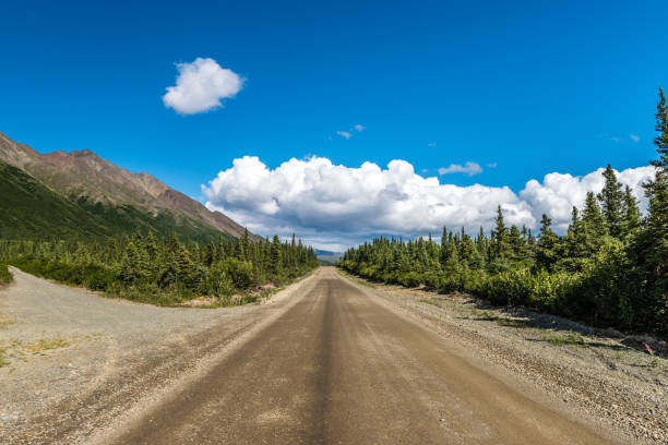istock Traveling Along the Denali Highway in Alaska 970357378