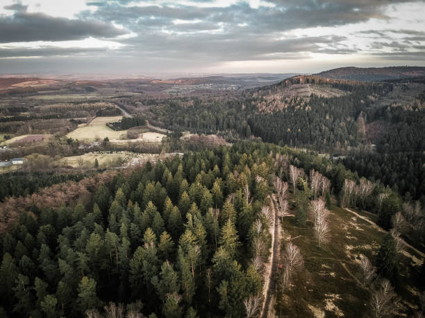 istock With the drone in the Teutoburg Forest 970384072