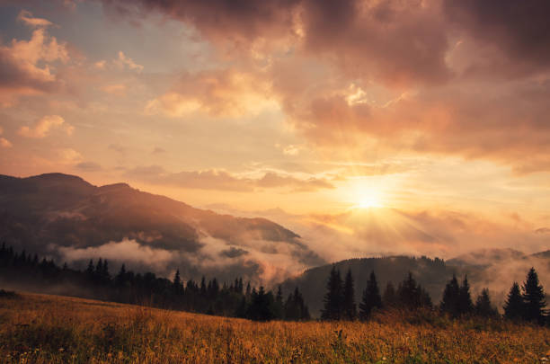 istock Foggy morning landscape 970388422