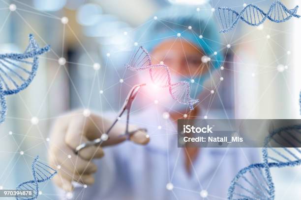 Researcher Working With Dna Stock Photo - Download Image Now - DNA, Editor, Science