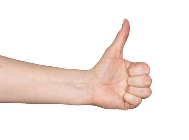 istock Caucasian woman's hand in thumbs up gesture. 970403294