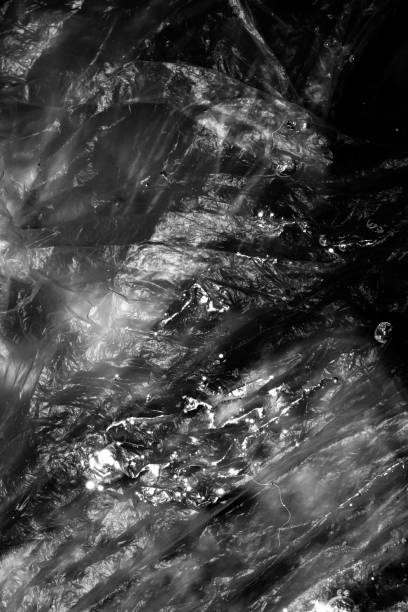 istock High contrast Black and white macro photography texture backgrounds 970403380