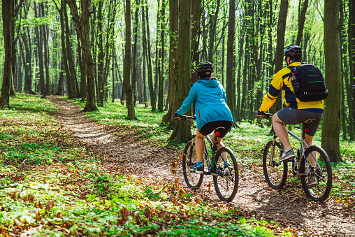 couple riding bicycle in forest in warm day. view from behind