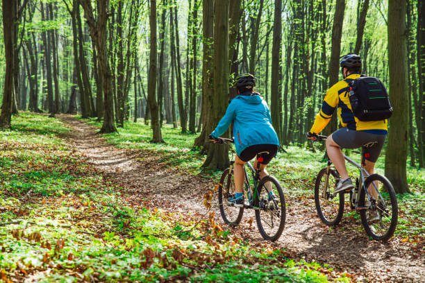 couple riding bicycle in forest in warm day. view from behind stock photo