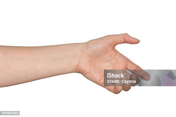 Caucasian Womans Empty Hand As If Holding Something Isolated Stock Photo - Download Image Now