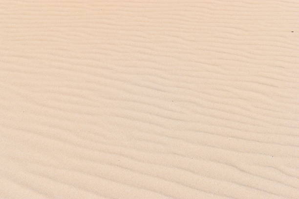 istock Beautiful background of a sandy beach 970411858