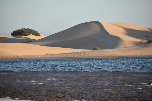 największe wydmy z rpa w pobliżu rzeki sundays w colchester w pobliżu addo elephant park - addo south africa southern africa africa zdjęcia i obrazy z banku zdjęć