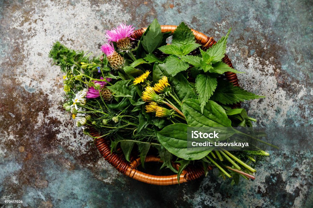 Herbes de prairie et médicinales pour biohacking paleo diet - Photo de Phytothérapie libre de droits