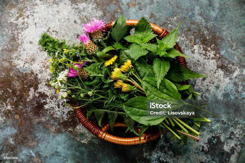 Meadow and Medicinal herbs for biohacking paleo diet Meadow and Medicinal herbs for clean eating biohacking paleo diet Herbal Medicine Stock Photo