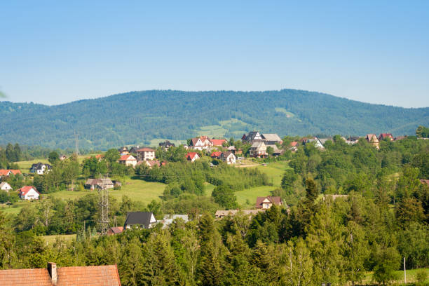istock Houses among trees and shrubs 970422052