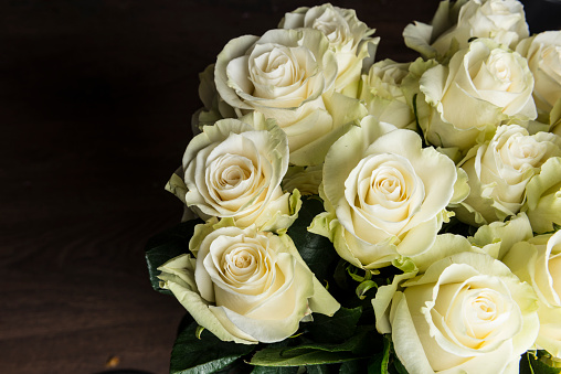 Close-up fresh roses.