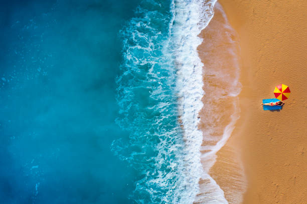 istock Sunbathing woman at beach 970438422