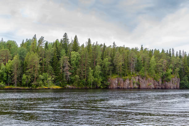 istock Forest on coast of Valaam island, Russia 970445176