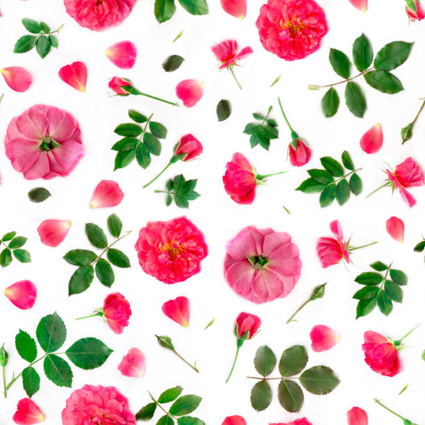 istock Seamless floral pattern. Delicate scarlet roses with buds and leaves. Isolated on white background, top view, flat layout. Can be used for wallpapers, wallpapers, postcards and in a variety of designs 970471010