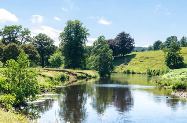 A river in the countryside with sheep grazing in the middle ground in summer Photo of river Derwent at Chatsworth Park in the Peak District National Park, Derbyshire, England​ bakewell photos stock pictures, royalty-free photos & images
