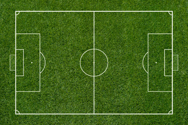 istock Football field or soccer field texture background. 970489980