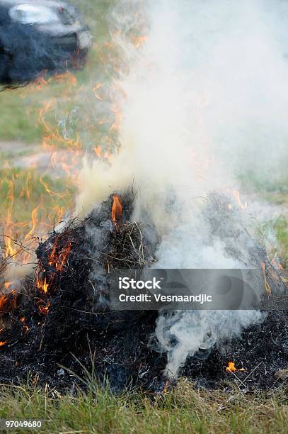 De Incendiosno Fumadores Foto de stock y más banco de imágenes de Bosque - Bosque, Color - Tipo de imagen, Contaminación ambiental