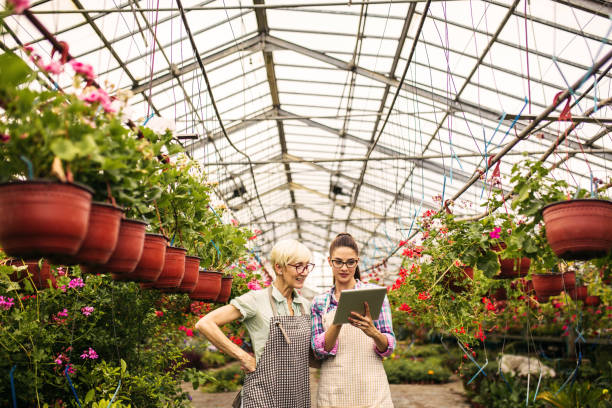 istock Young and senior women gardener 970501156