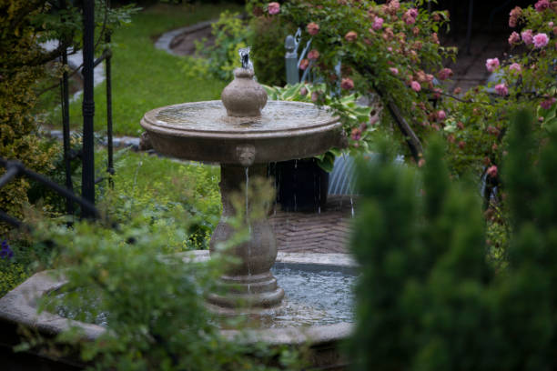 istock Surprise fountain in the shrub 970501264
