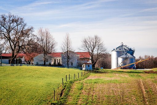 Spring on the farm, East Liberty, Ohio, March 2016.