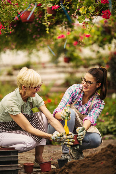 istock Young and senior women gardener 970501698