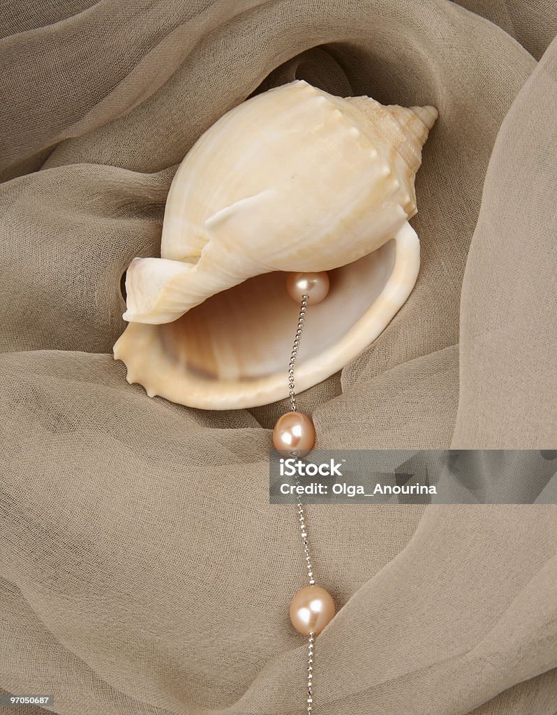 Pearl y carcasa - Foto de stock de Concha - Parte del cuerpo animal libre de derechos