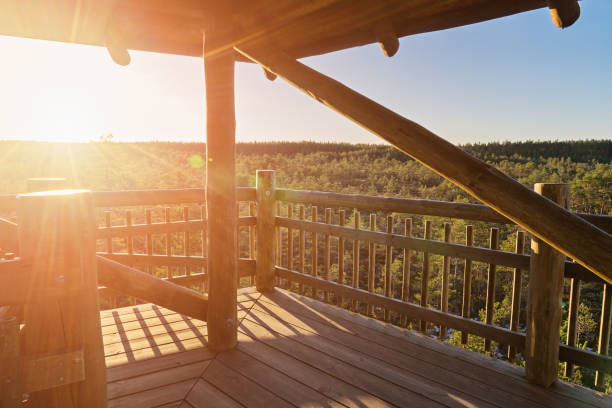 istock High wooden observation tower with viewing platform 970507040