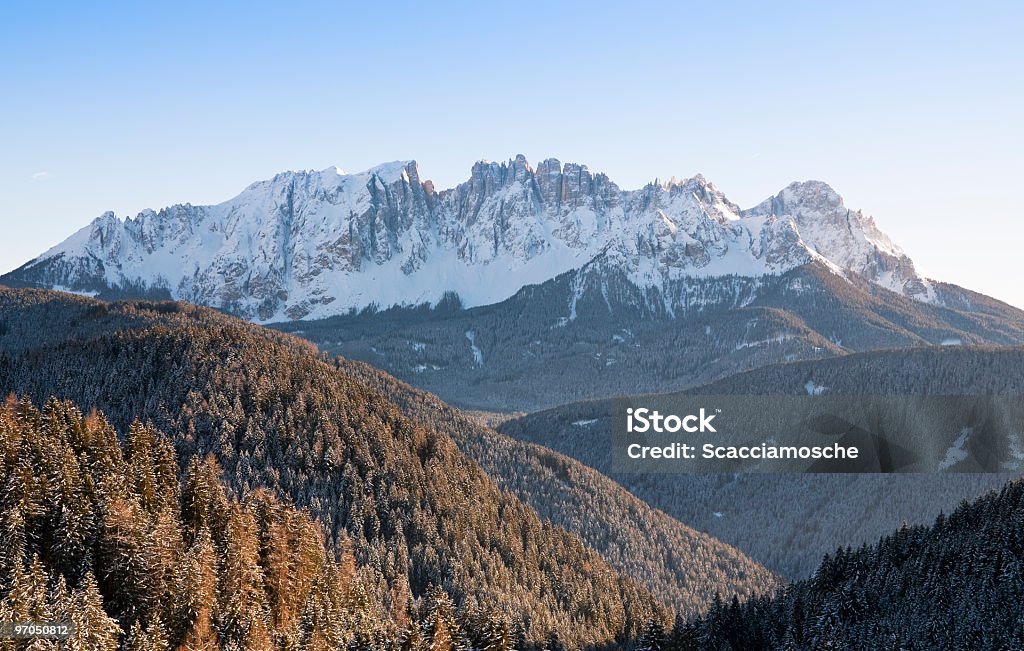 Alpes dolomíticos del Latemar y sus exuberantes bosques - Foto de stock de Aire libre libre de derechos
