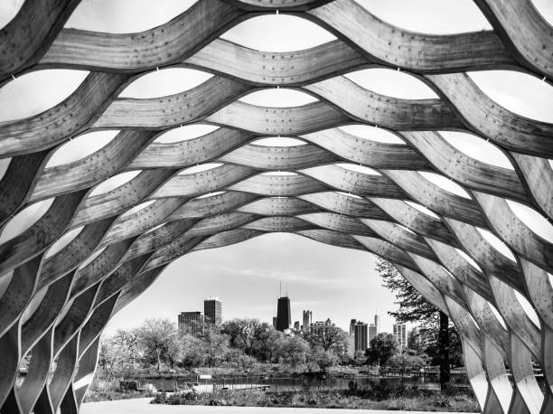 Chicago Cityscape from Nature Boardwalk, Black & White LINCOLN PARK, CHICAGO-May 24, 2018. Chicago's downtown cityscape can be seen from the Lincoln Park Nature Boardwalk. Black & White. pavilion photos stock pictures, royalty-free photos & images