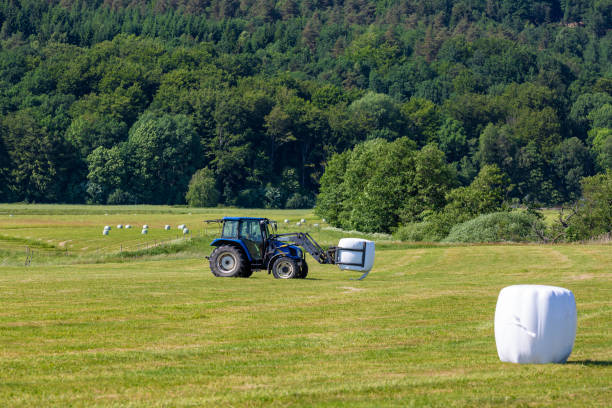 трактор собирание силос мяч - silage field hay cultivated land стоковые фото и изображения