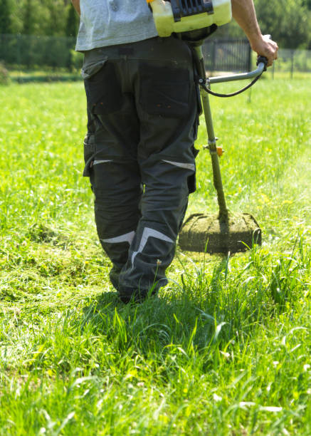 istock The man mowing green wild grass field using brush cutter mower or power tool string lawn trimmer 970514206