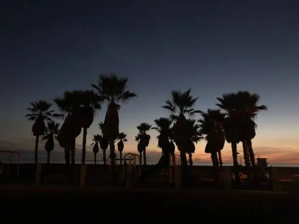 Sunset at Venice Beach in L.A.