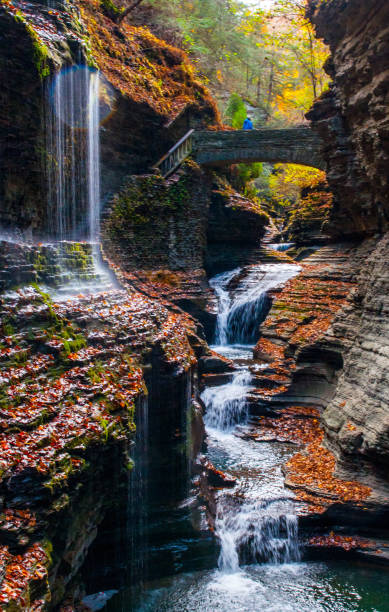 itaca, new york - immagine di repertorio acqua che scorre, pianta, parco pubblico, primavera, acqua - watkins glen foto e immagini stock