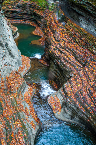 istock Ithaca, New York - Stock image Flowing Water, Plant, Public Park, Springtime, Water 970536520