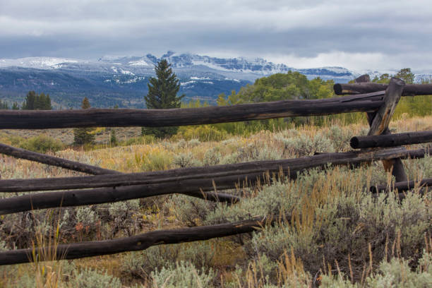 istock wood rail fence through sagebrush 970572744