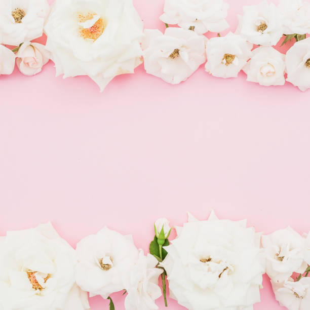 istock Floral border frame composition with white roses on pink background. Flat lay, top view. Pastel background. 970576586