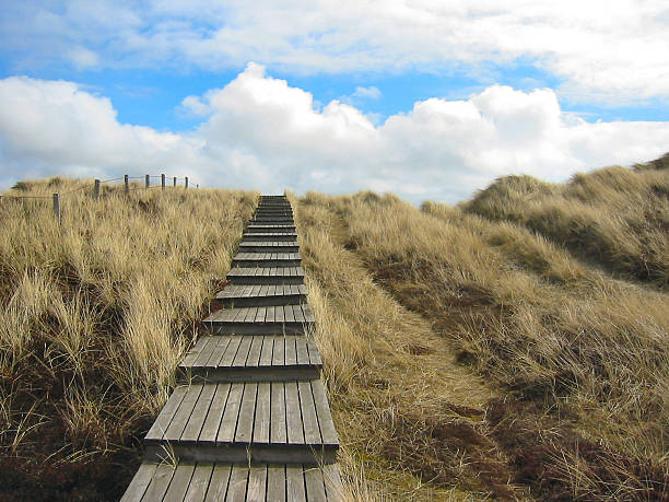 Way through the dunes with a huge sky and a warm sun (XXXL)