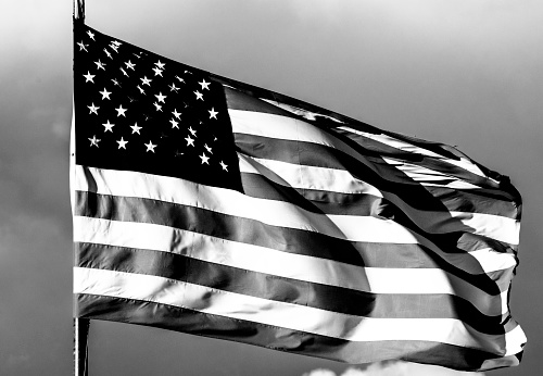 A black and white 35mm film scan of a backlit American Flag waving in the wind.
