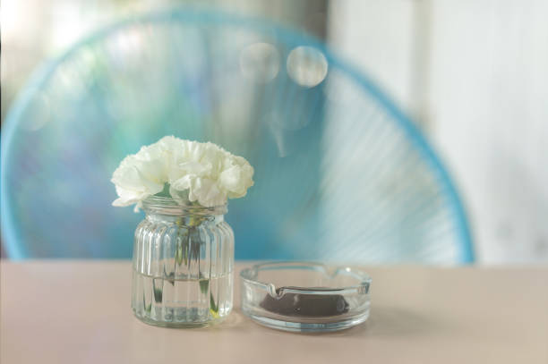 White carnation in glass vase on the coffee table