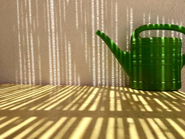 istock A green plastic watering can for watering flowers is on a yellow table. 970603188
