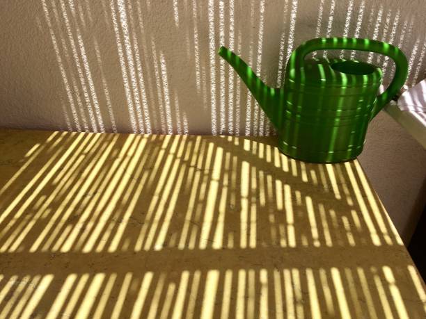 istock A green plastic watering can for watering flowers is on a yellow table. 970603190