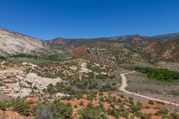istock Daniels Canyon in Dinosaur National Monument 970617786
