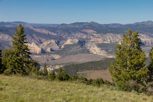 istock Steamboat Rock in Dinosaur National Monument 970617796