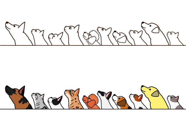 hunde und katzen grenze profilsatz nachschlagen - color image retriever illustration technique horizontal stock-grafiken, -clipart, -cartoons und -symbole