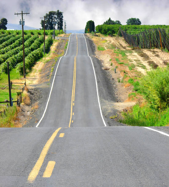 rural road - day washington state vertical outdoors fotografías e imágenes de stock